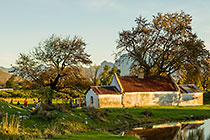 people playing near country house with big trees