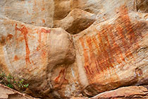 bushman paintings