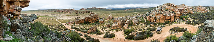 bushman paintings