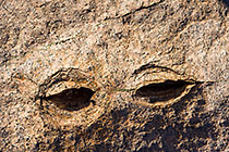 eyes on rock