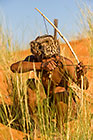 bushman hunting with bow & arows on red sand dunes