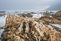 Rocky Seeshore