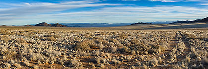 Track through desert plain