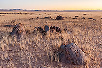 grass plain & rocks  at sunset