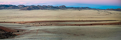 Tracks on overgrown sand dune