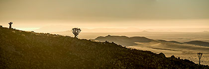 Silhouettes