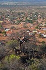 baobab tree on hill + village in plain