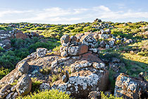 rocks in field