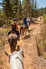 horse riding through fynbos