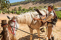 Petra with horse