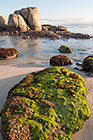 coast with bolders & algae at sunrise
