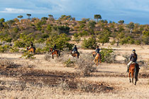 people & guide (West) riding horses in savanah
