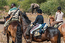 people & guide (West) riding horses with elephant