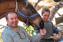 horse visiting brunch table at restcamp