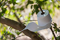 bush toilet