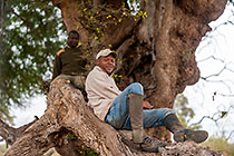 guides (Mushi & West) resting in tree