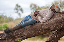 guide (Mushi) resting on tree