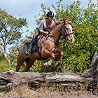 woman (Victoire) on horse jumping over dead tree