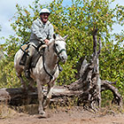 man (Pierre) on horse jumping over dead tree