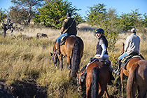 Petra & people riding horses watching warthogs
