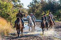 people on horses cantering in river