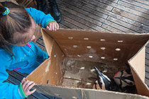 children holding box with African penguins