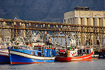boats in Cape Town harbour