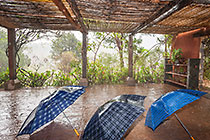 umbrella under rain