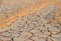 Drought