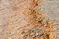 Dead Vlei crust