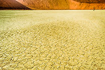 Dead Vlei crust
