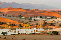 water in Sossus Vlei & sand dunes