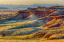 Petrified Dunes