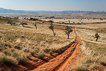 path through sand dunes covered by grass