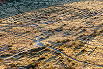 tracks in grass plain