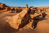 petrified dunes
