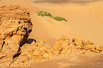 petrified dunes
