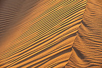 Sand Stripes