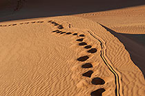footprints in sand