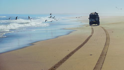 Land Cruiser driving on beach along coast & sand dunes