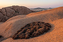 rocks at sunset