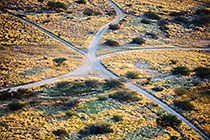 tracks in grass plain