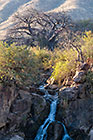 Epupa waterfalls