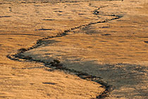 Hartmaan Valley