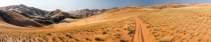grass & sand dunes in Hartmann mountains