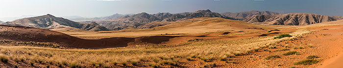 grass & sand dunes in Hartmann mountains