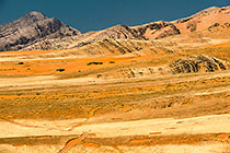 grass & sand dunes in Hartmann mountains