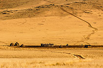 old kraal & grass & sand dunes in Hartmann mountains
