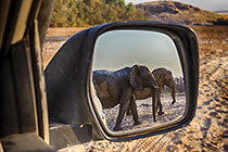 In the Mirror