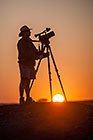 Martin fil at sunrise